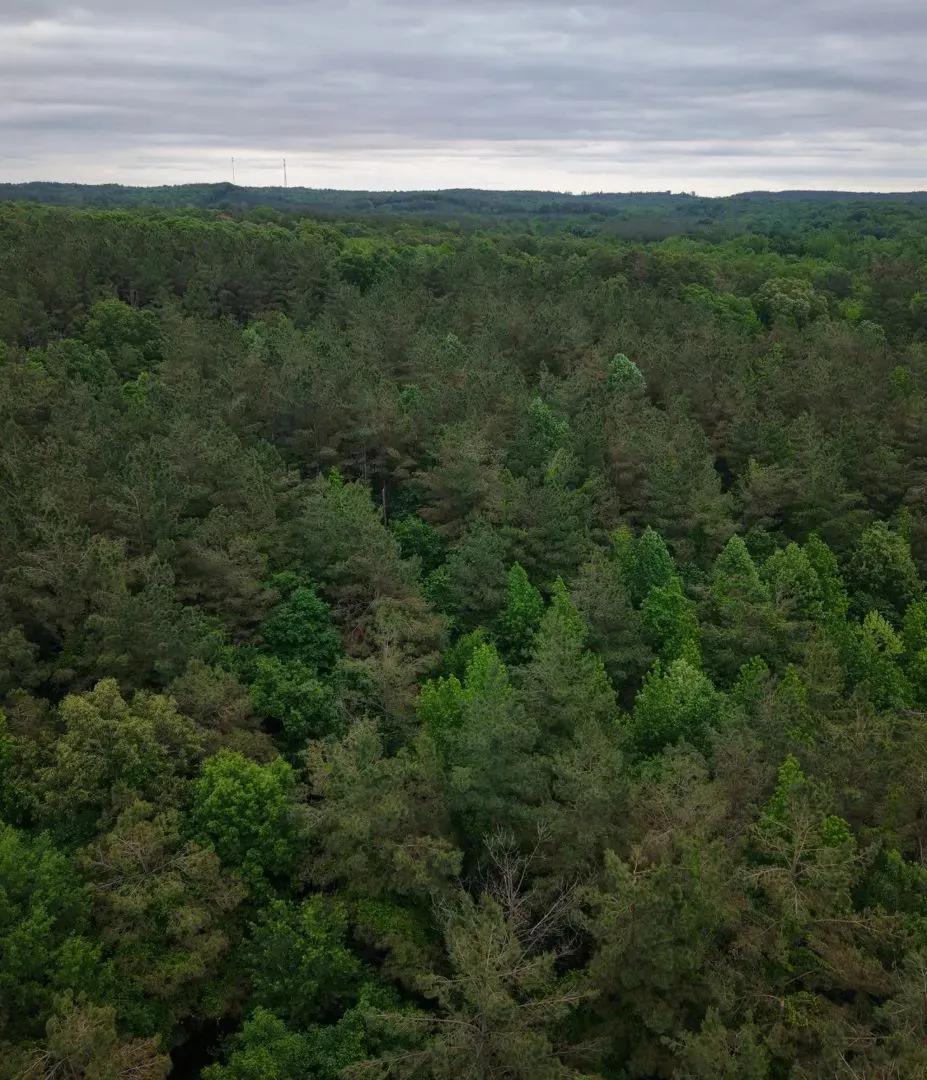 48.7 Acres in Grenada County in Grenada, MS