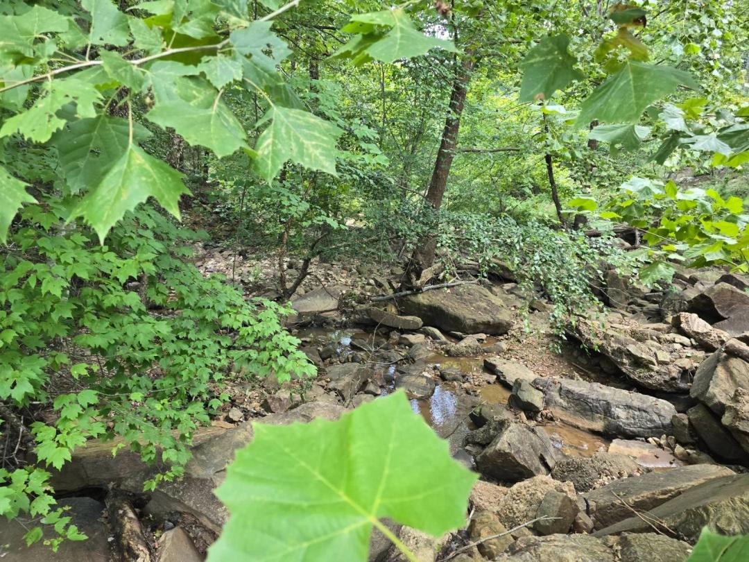 5 ACRES KIAMICHI WILDERNESS WITH CREEK MOYERS OKLAHOMA FOR SALE