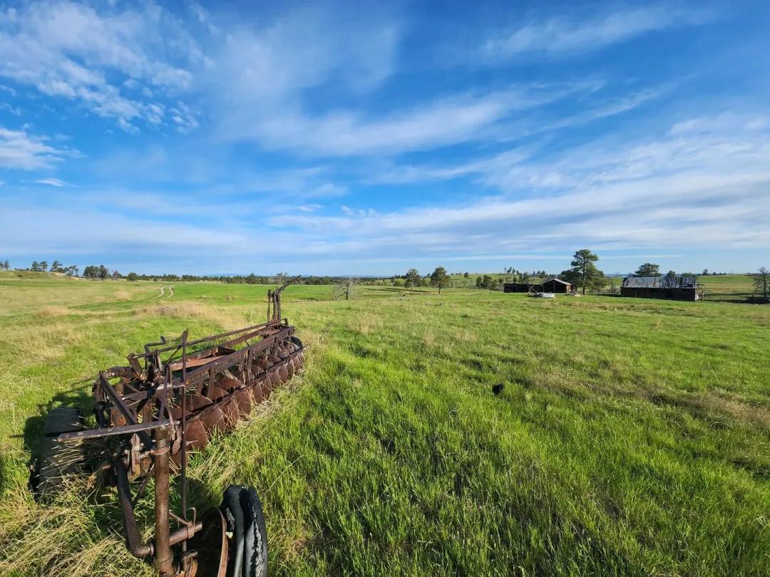 Boot Print Ranch