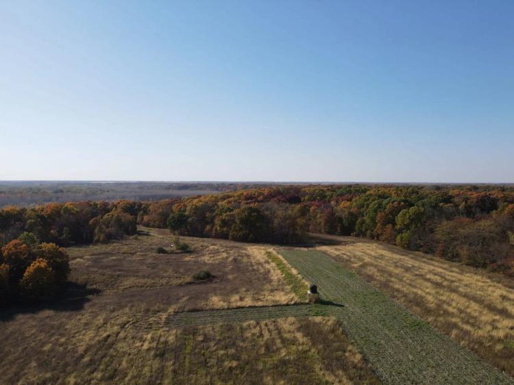 Schuyler County IL 187+- acres CREP, great hunting