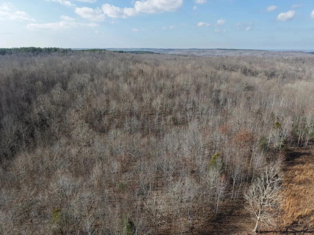 338 Acres in Benton County, TN