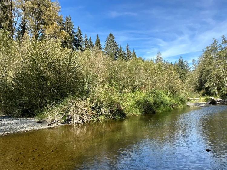 2 acres on Jim Creek!
