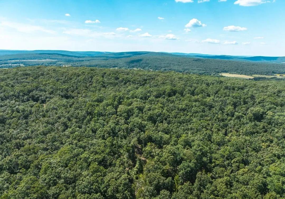 Buck Mountain Road Tract 5