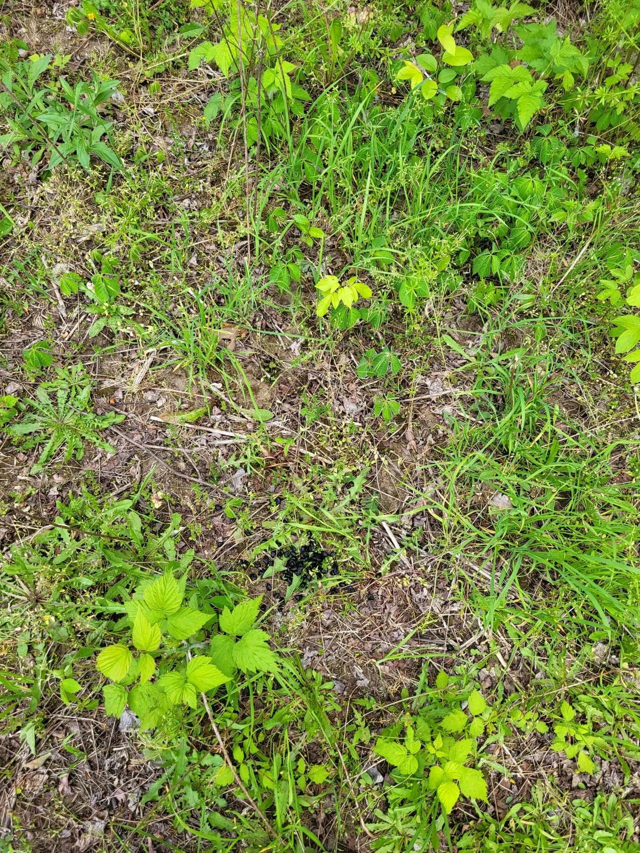 13041377-24
