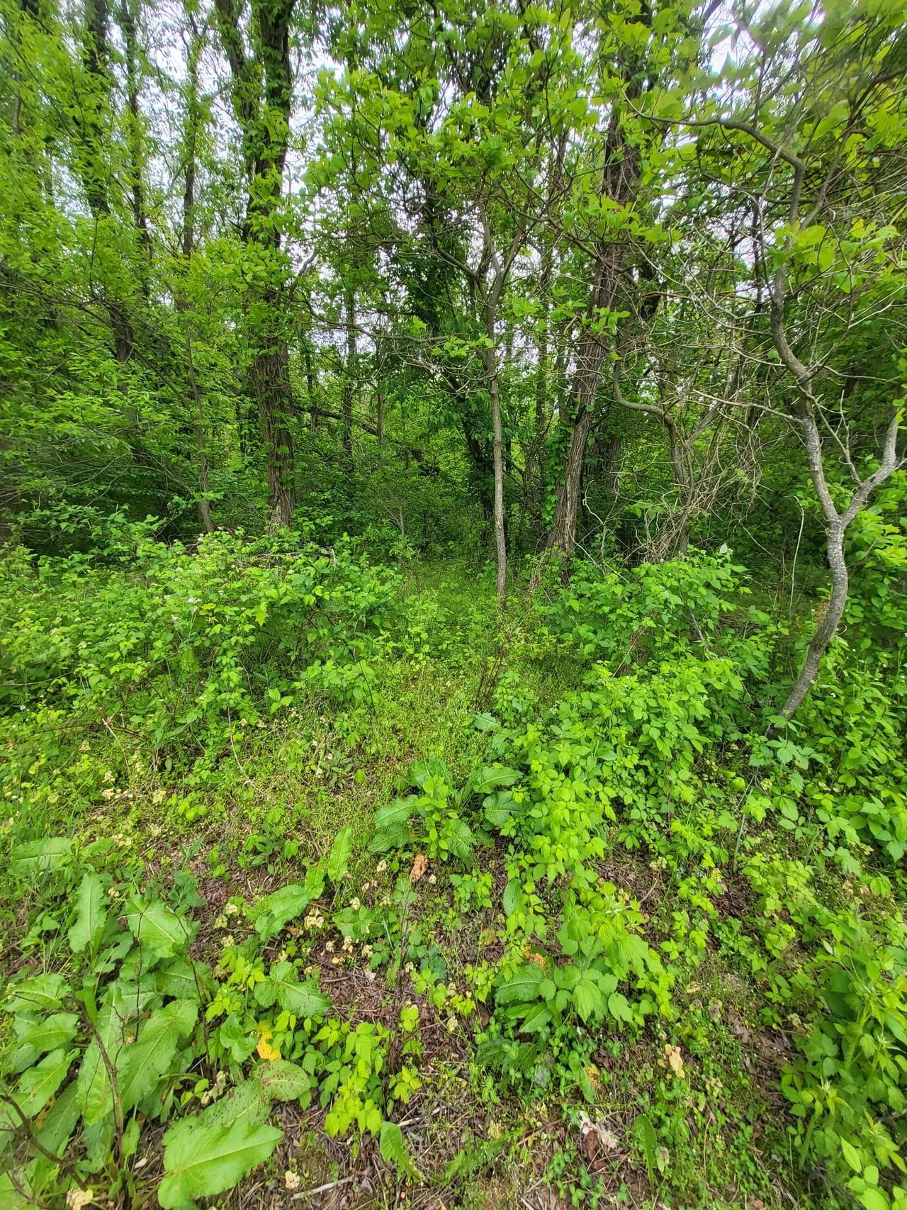 13041377-26
