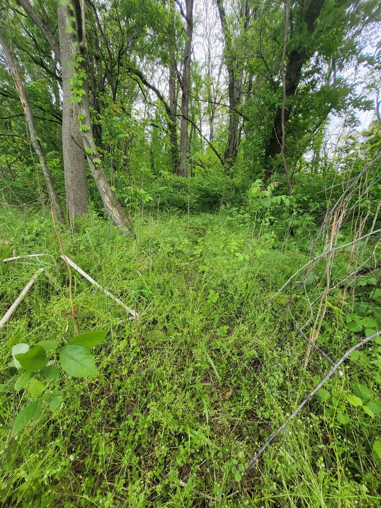 13041377-27
