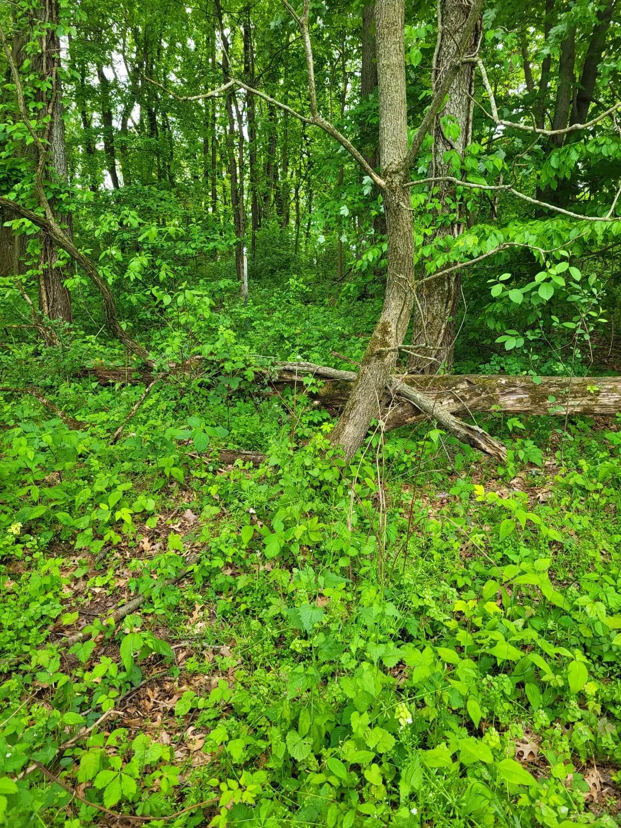 13041377-32