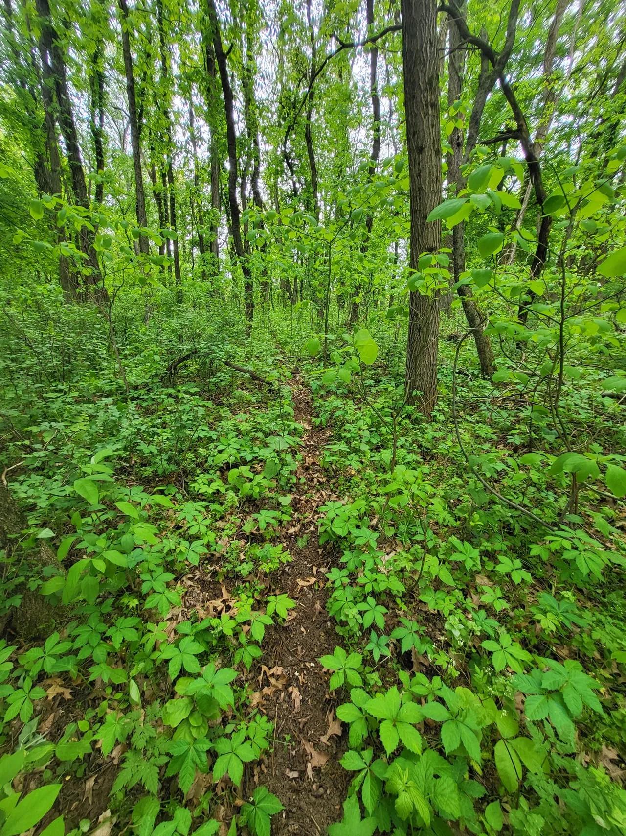 13041377-36