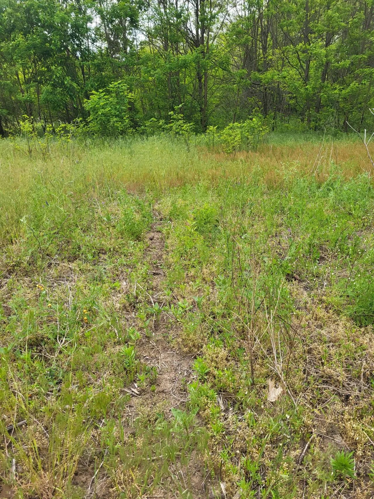 13041377-56