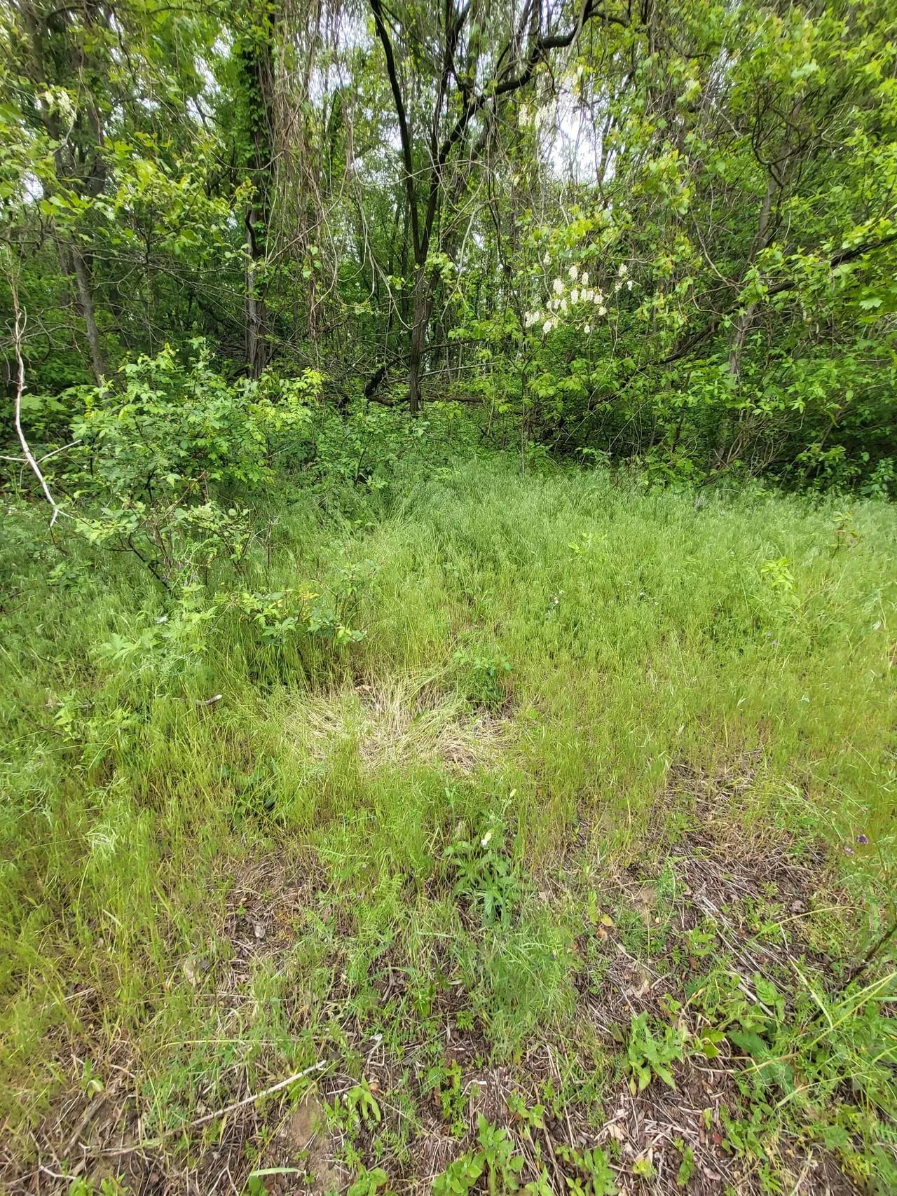 13041377-58