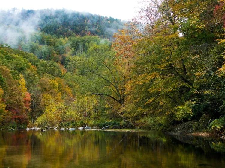 2.16-Acre Rolling Mountain Lot with Paved Access in The Bluffs of Wilson Creek, Collettsville NC