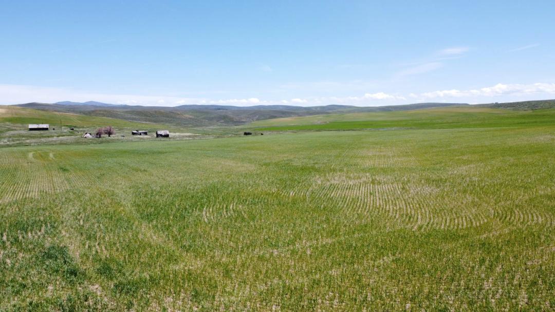 North Elkhead Tract #1
