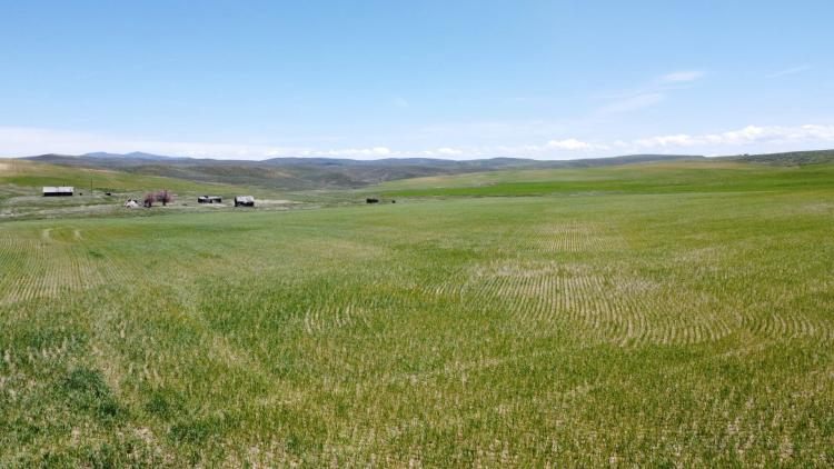 North Elkhead Tract #1