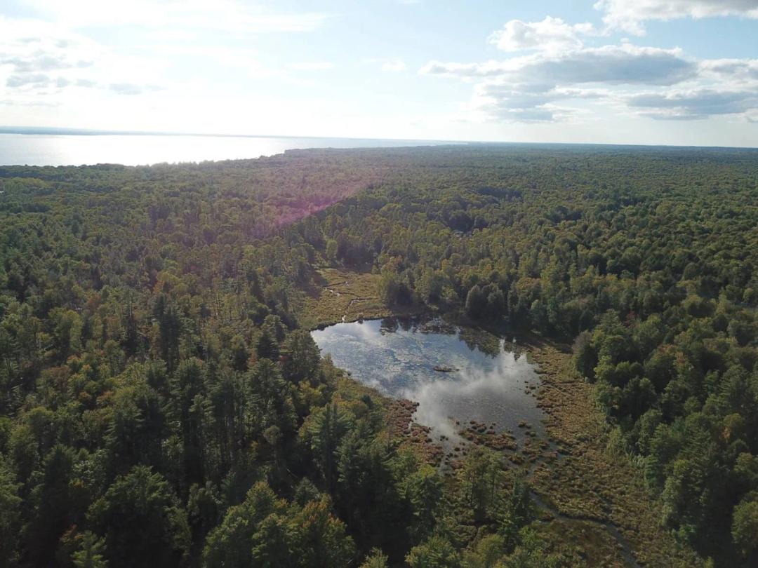 58.5 Acres of Recreational Land with Pond & Stream Frontage!