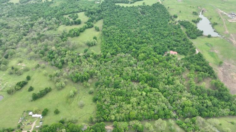 30.67 Acres of Opportunity - Build, Hunt, or Retreat in Checotah