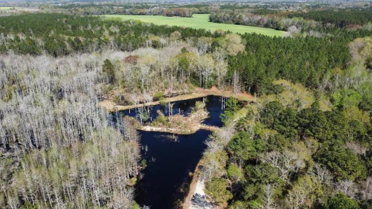 440± Acre Highnote Tract | Timber, Agriculture &amp; Recreation