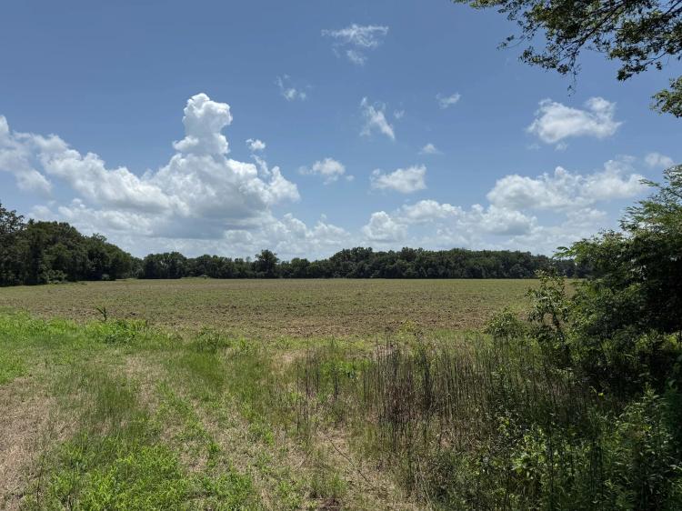 LA - Richland 93 acres +/-