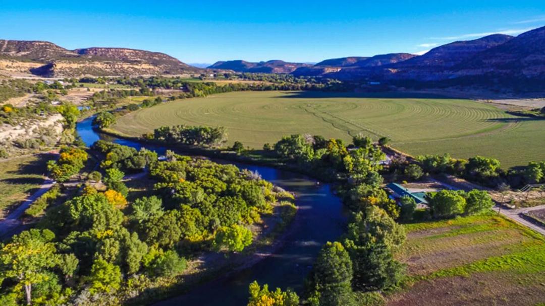 Diamond K Bar Farm & Ranch