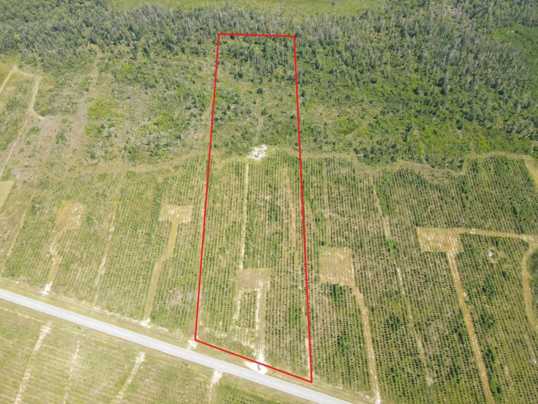 NEW LISTING!!  11 acres on the outskirts of Blountstown!