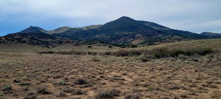 Highly Desirable Area - Base of Mountains - Borders BLM Lands - Rio Grande National Forest