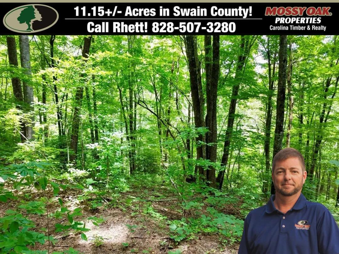 11.98+/- Acres - Lot 103 Mountain Vista Road, Bryson City