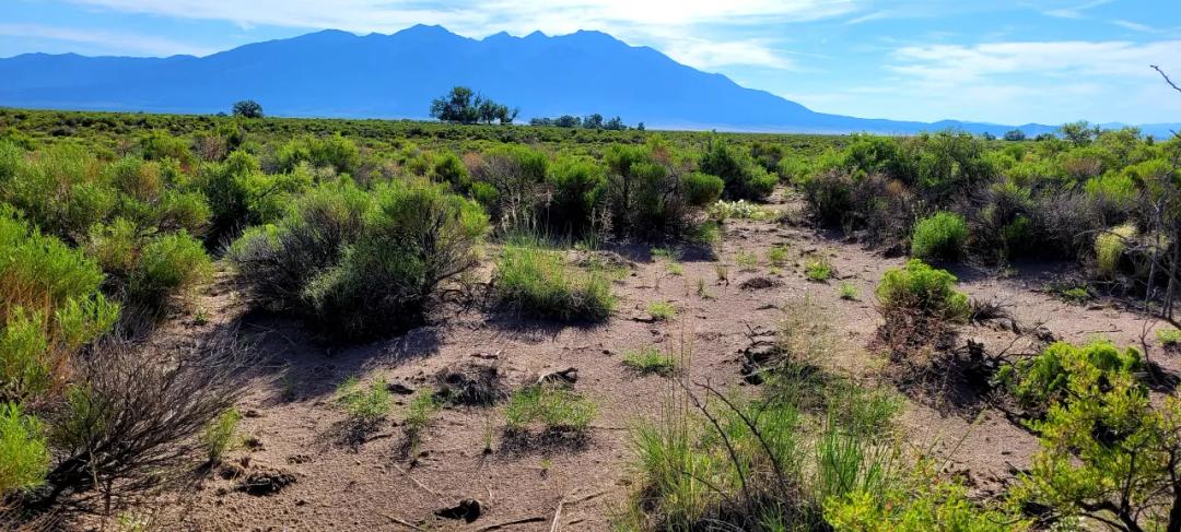 San Luis Valley Southern Colorado  *  Star Filled nights. Vibrant blue skies