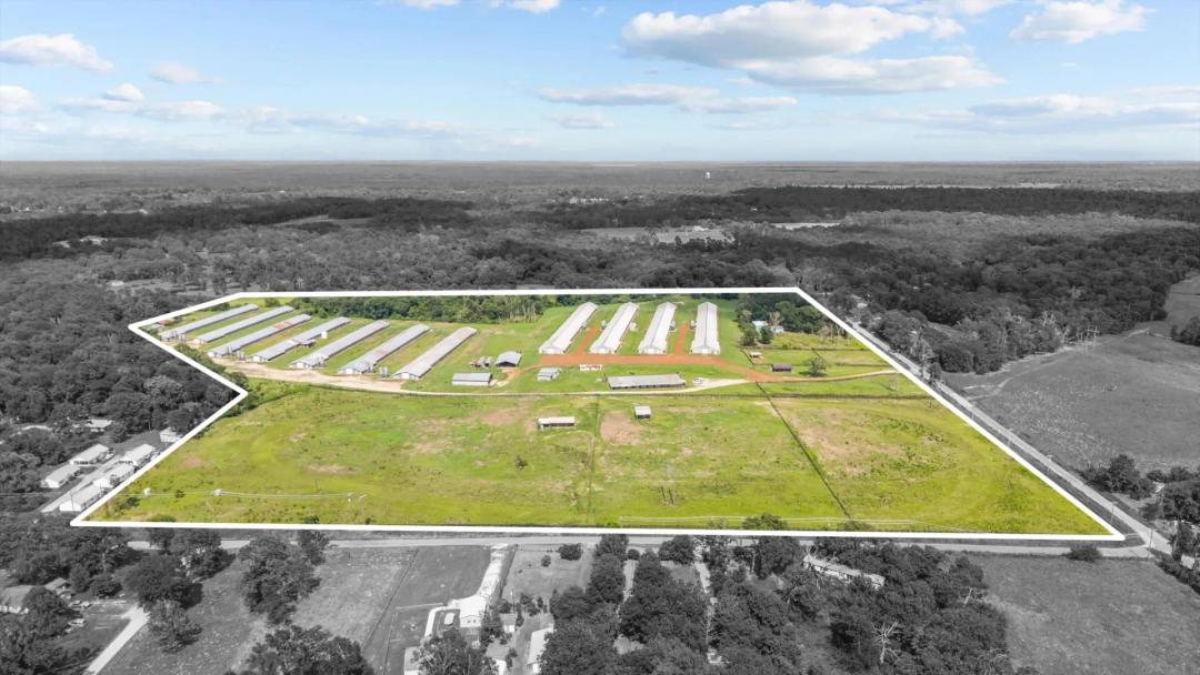 Lufkin Poultry Farm | Texas 