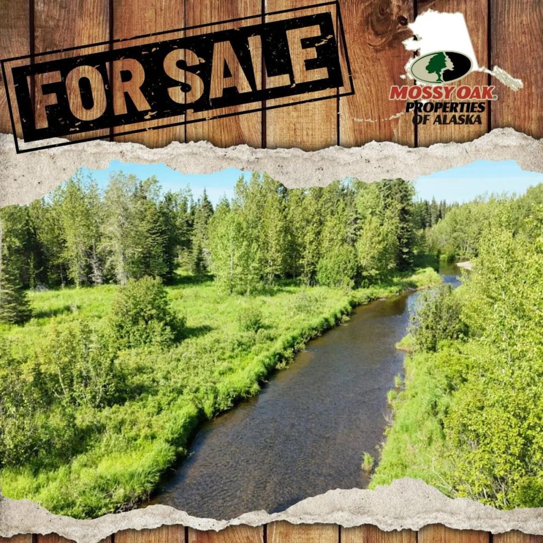 47ac & Mi 3 North Fork Anchor River Frontage