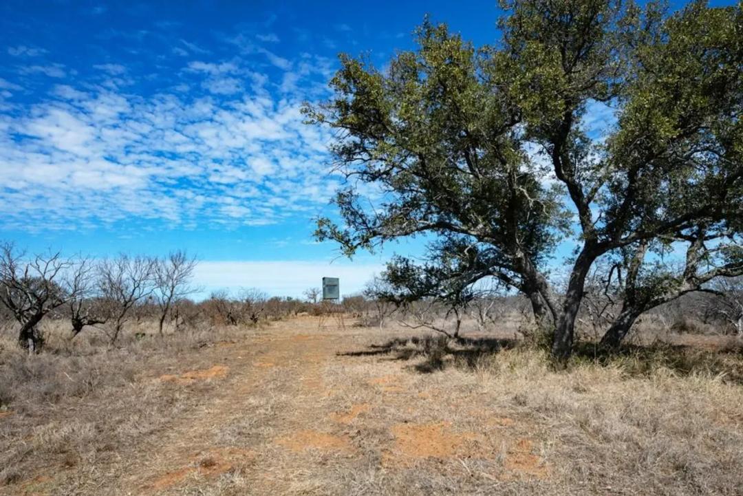 79.35 Acres | Mason County Hill Country | Llano Uplift