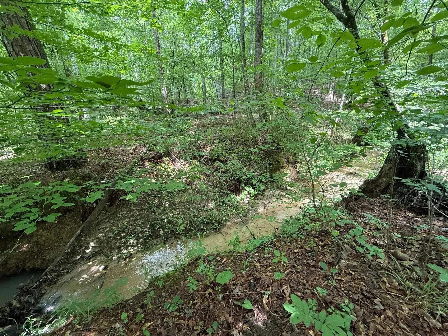 13268557-9