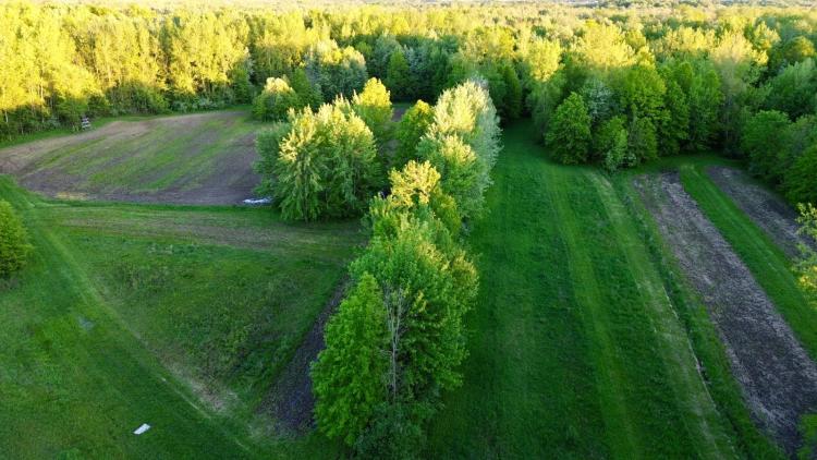 80 +/- ACRES / BUCKS &amp; DUCKS / VAN BUREN COUNTY, MI / LAND