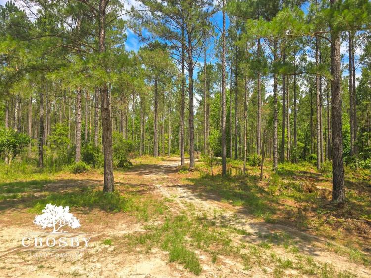 Munnerlyn Tract