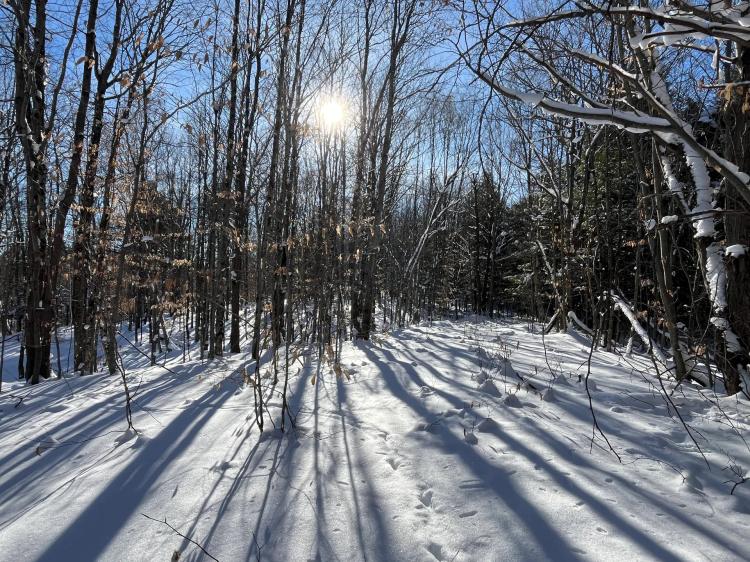 38 acre Wooded Hunting Land Pitcairn NY