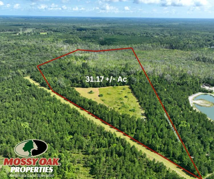 31.17 Ac Land for Sale in Camden County, GA