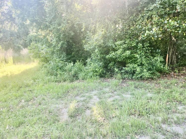 Floral City, Florida Vacant Land for Sale - Apx Lot SF:14,612