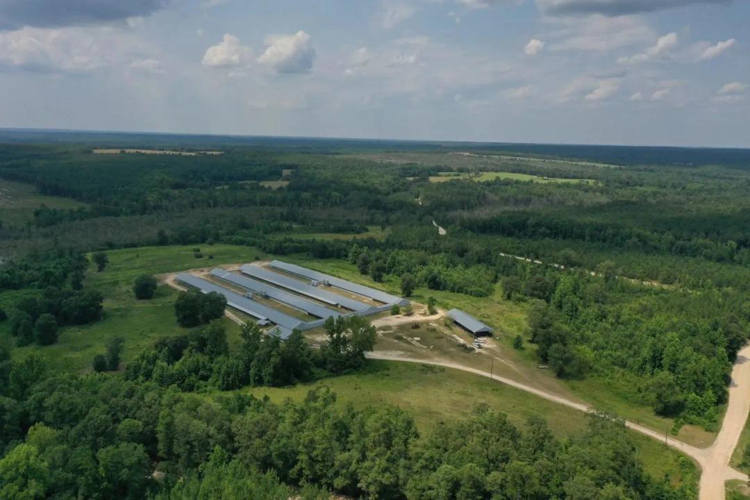 PRICE REDUCED - DenMar Commercial Egg Farm – Four House Farm – Chesterfield County, SC
