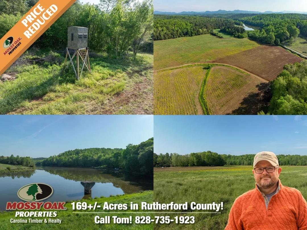 169.8+/-Ac Creekfront with Lake Access!