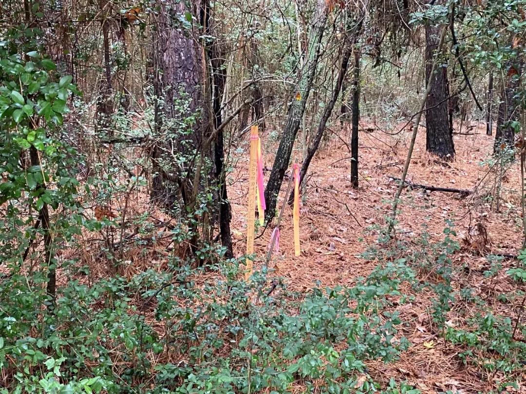 9 Acres of Development Land in Center, TX for Sale