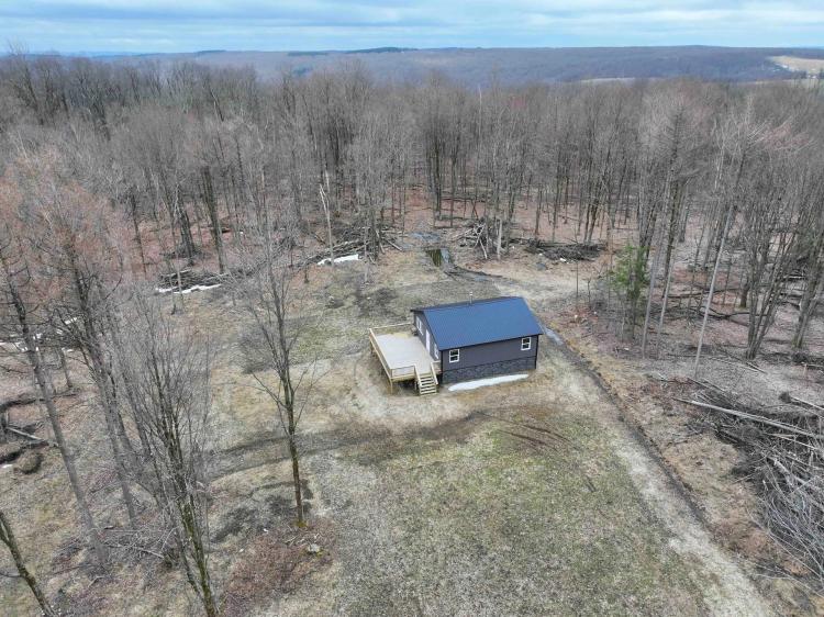 80 acres Cabin with Hunting Land and Recreational Land bordering State Land in Cherry Creek NY Swanson Rd