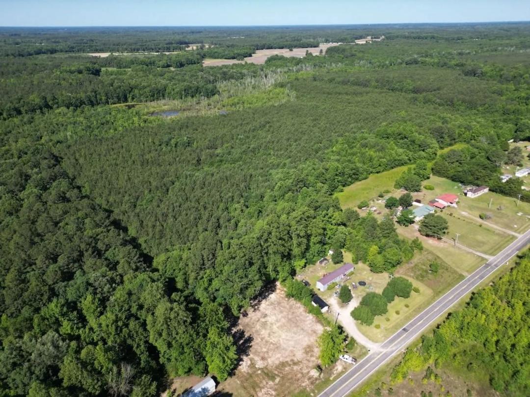 37.19 acres of hunting and timber land for sale in Halifax County, NC!