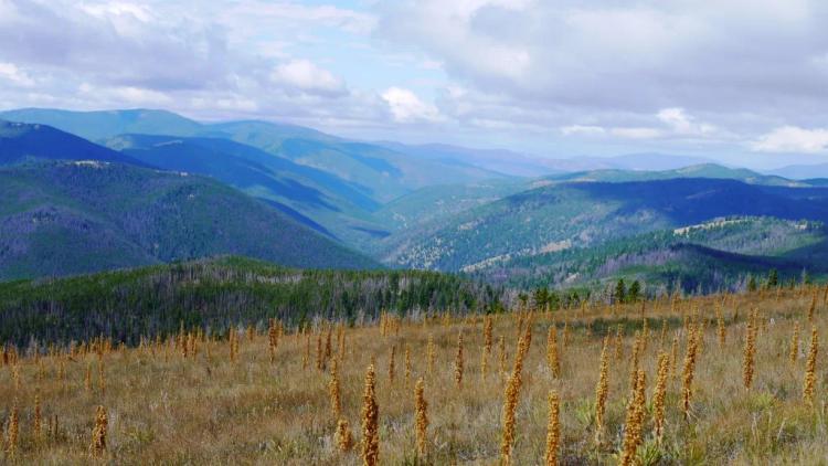 Patented mining claim between Lincoln and Helena Montana * Own land & Minerals