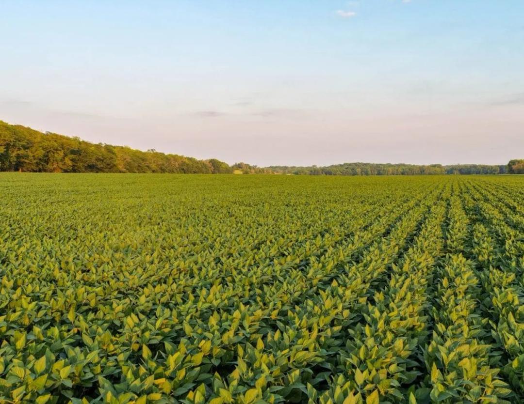 Listing #19620 - 381.47 acres in Greene County, IA