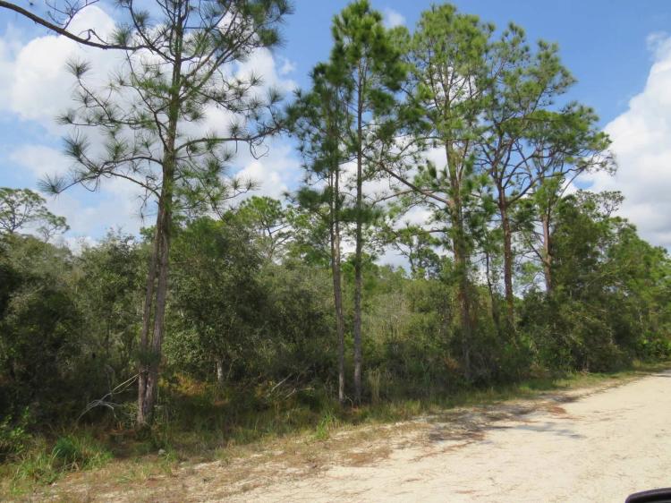 GREAT LOT, QUIET NEIGHBORHOOD, ELECTRIC AVAILABLE