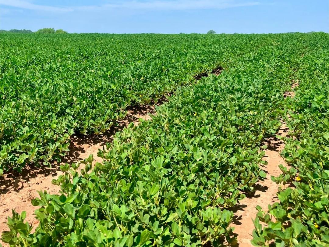 287.48 Acres at 0 Wayside Road
