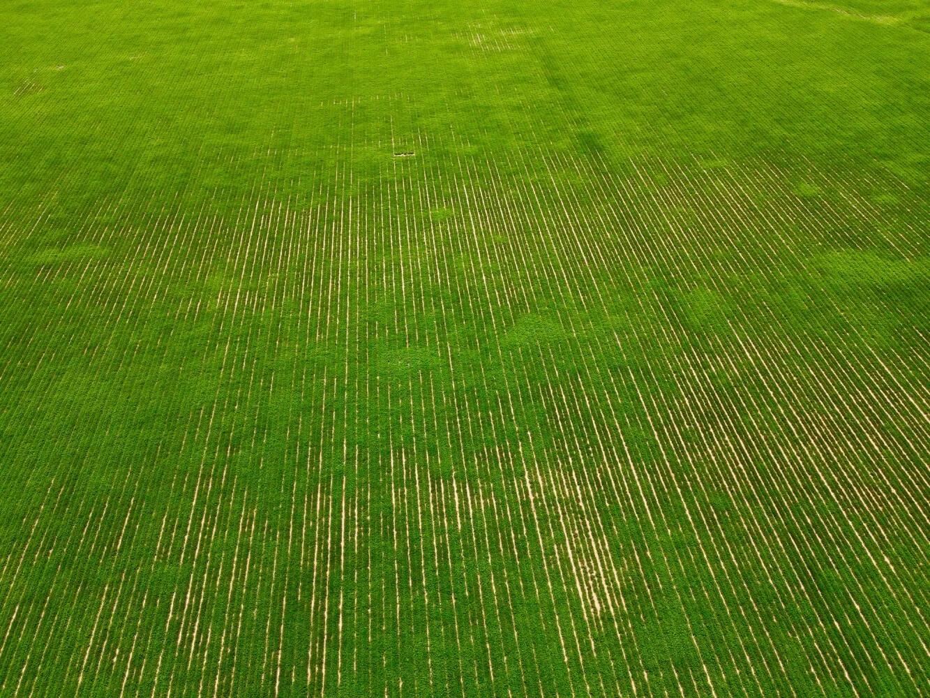 13633272-27