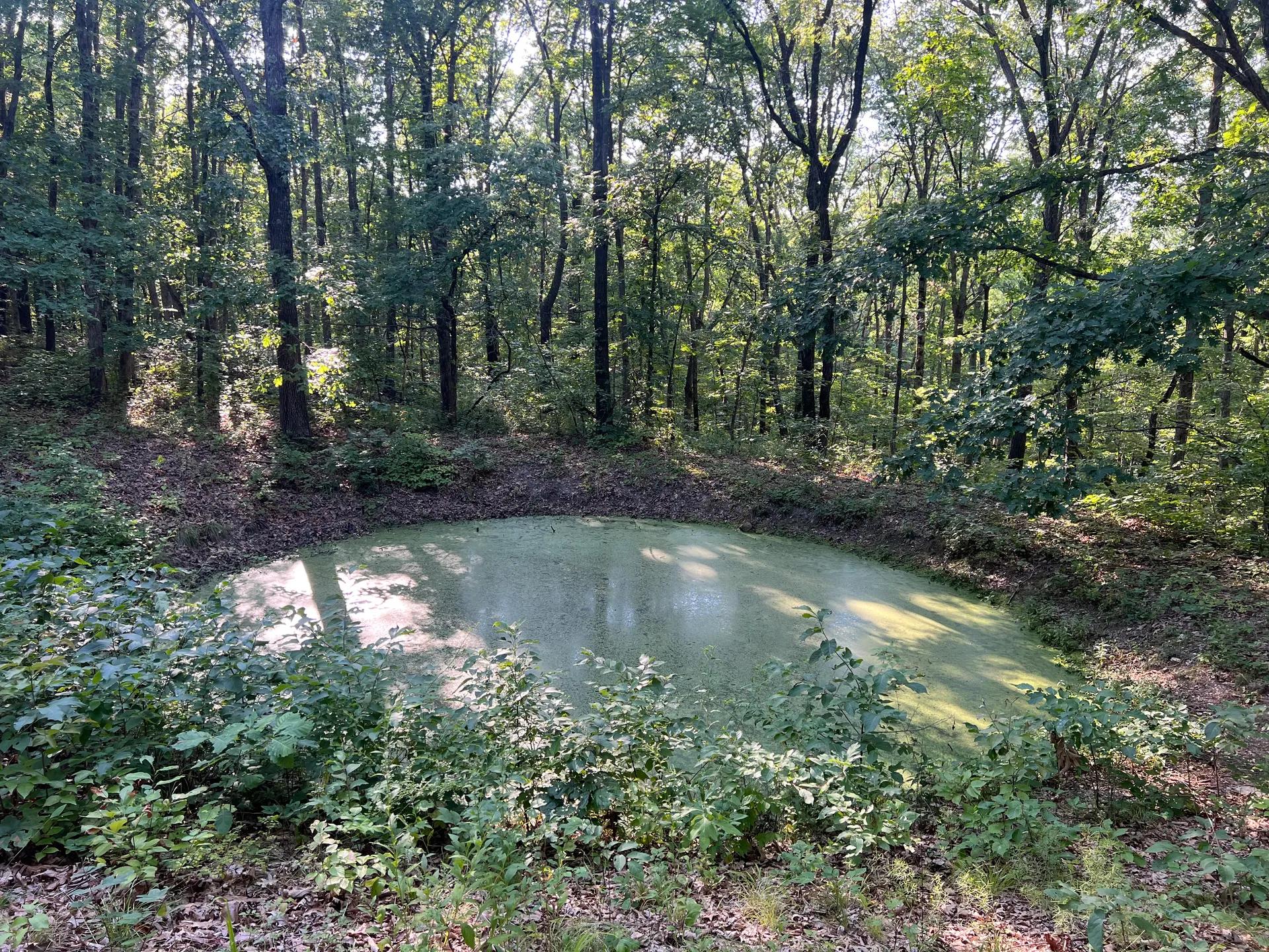 1371750-15