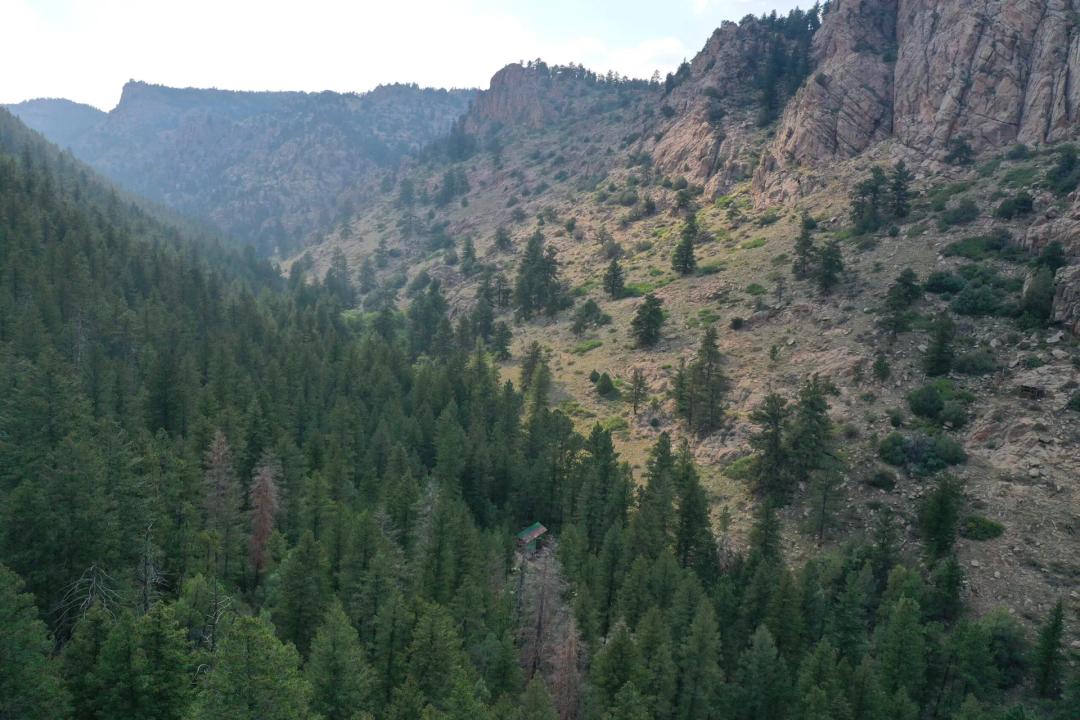 Rabbit Creek 35