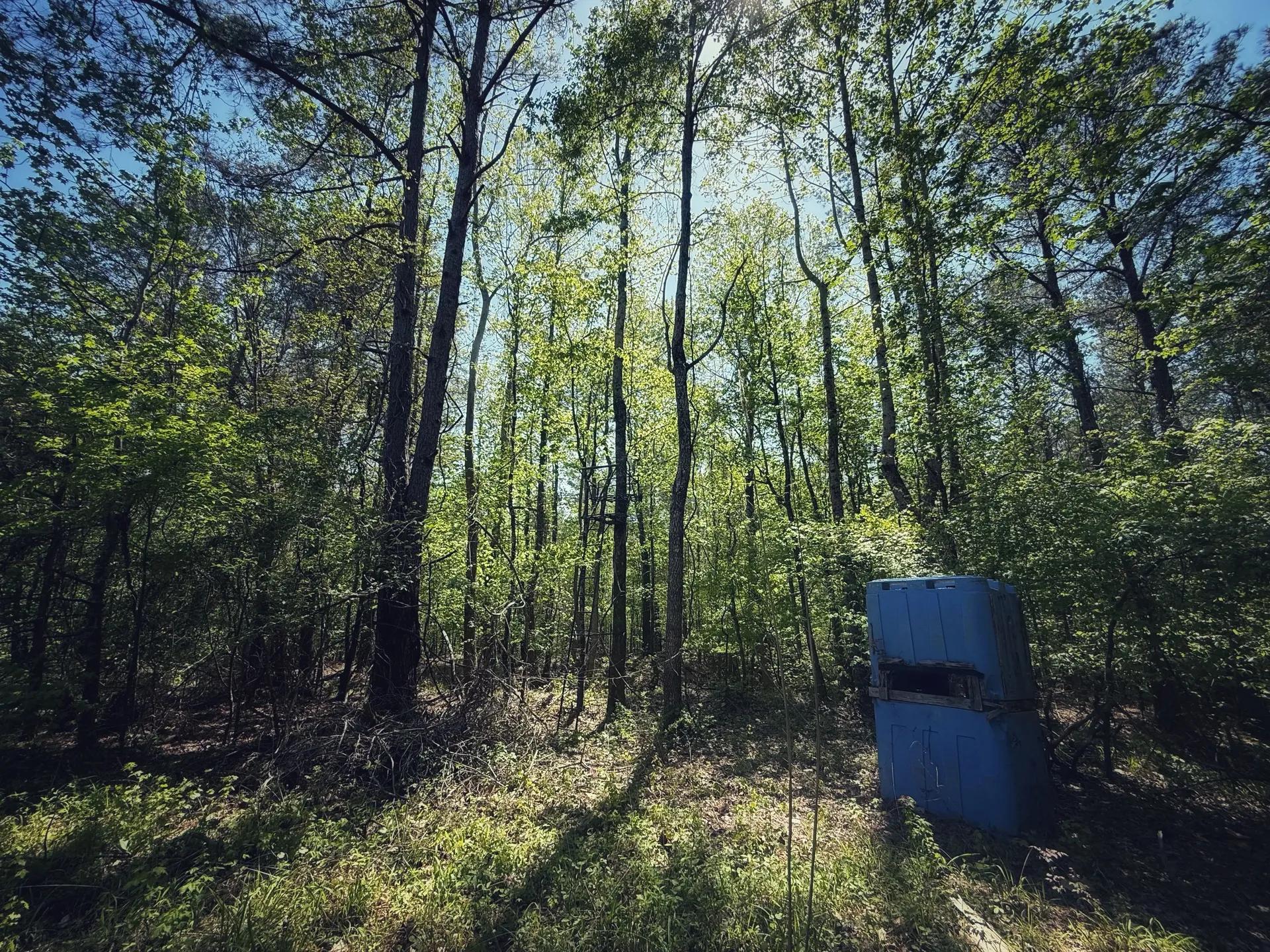13783593-8