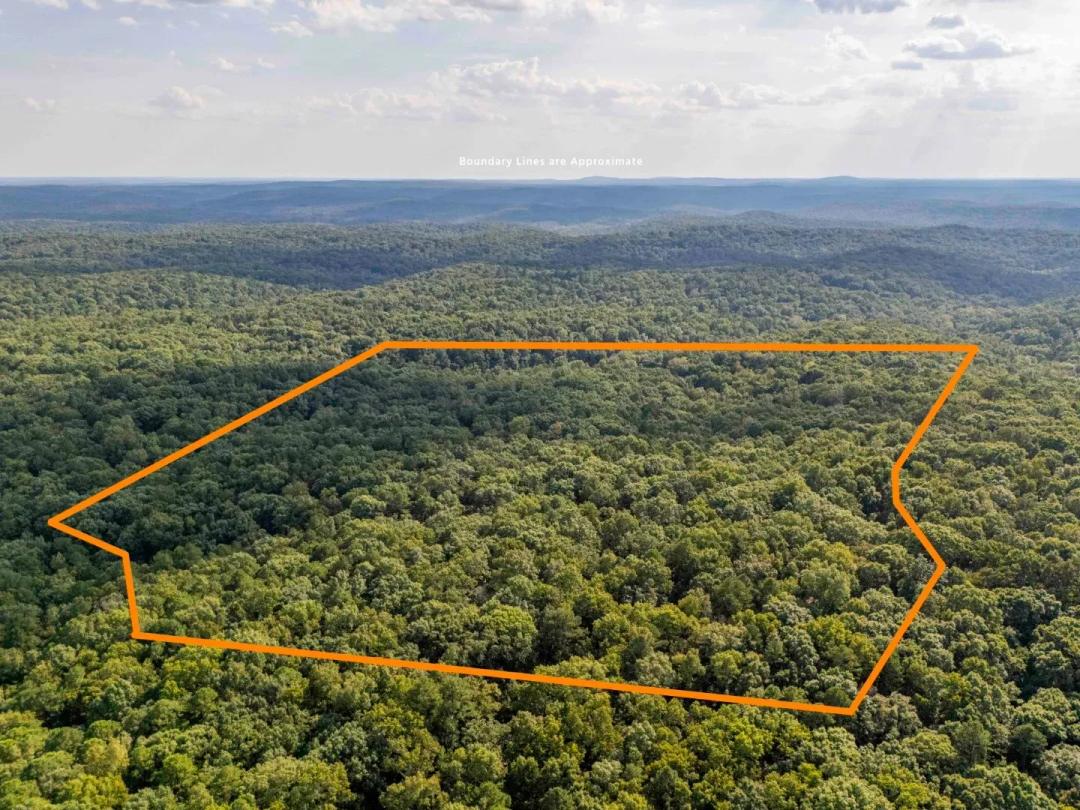 Bundle Event - Baha Dr., Sullivan, Washington County, MO 63080 Land for Sale at Auction – Stith Property