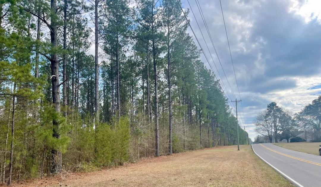 Cole Road Residential Development Acreage